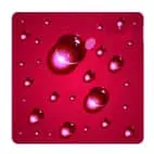 Screw Jack Corrosion Protection Options